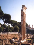Foro di Cesare 