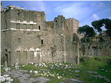 Foro della Pace